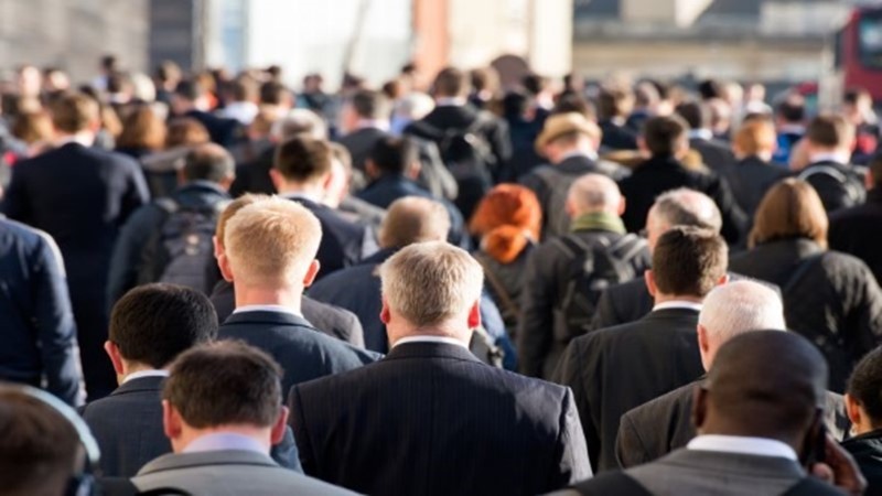 美勞動市場走弱與關稅開庭短評